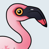 Lesser Flamingo