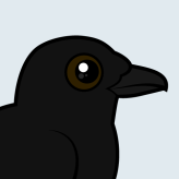 Fish Crow