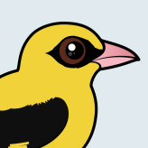 Eurasian Golden Oriole