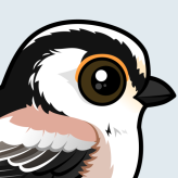 Long-tailed Tit