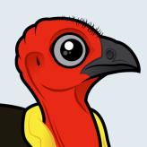 Australian Brushturkey