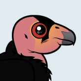 California Condor
