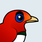 King Bird-of-paradise