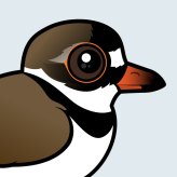 Semipalmated Plover