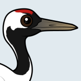Red-crowned Crane