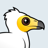 Egyptian Vulture