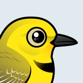 Yellow Chat