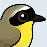 Common Yellowthroat
