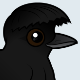 Long-wattled Umbrellabird