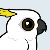 Sulphur-crested Cockatoo