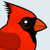 Northern Cardinal