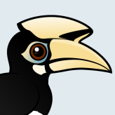 Oriental Pied Hornbill