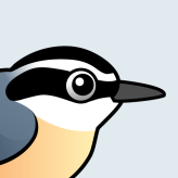 Red-breasted Nuthatch