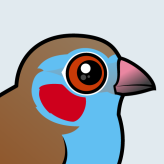 Red-cheeked Cordonbleu