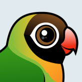 Black-cheeked Lovebird