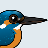 Common Kingfisher