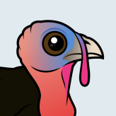 Wild Turkey