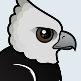 Harpy Eagle
