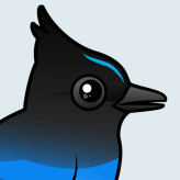 Steller's Jay