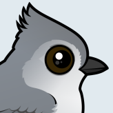 Juniper Titmouse