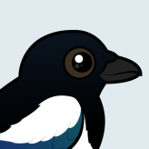 Black-billed Magpie