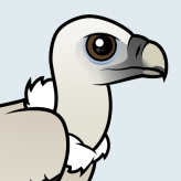 Himalayan Vulture