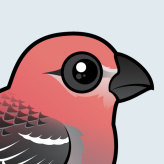 Pine Grosbeak