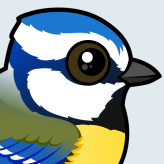 Eurasian Blue Tit