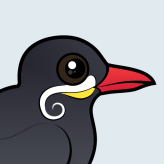 Inca Tern