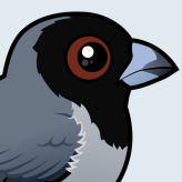 Black-faced Tanager