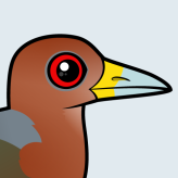 Rufous-necked Wood-Rail