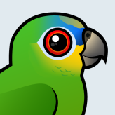 Orange-winged Parrot