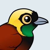 Greater Bird-of-paradise