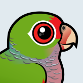 Vinaceous Parrot