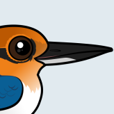 Guam Kingfisher