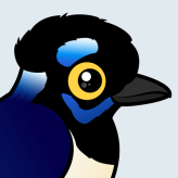 Plush-crested Jay