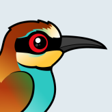 European Bee-eater