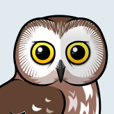 Northern Saw-whet Owl