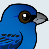 Indigo Bunting