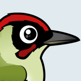 Green Woodpecker