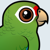 Puerto Rican Amazon
