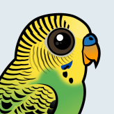 Budgerigar