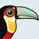 Red-breasted Toucan