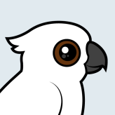 Umbrella Cockatoo