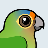 Orange-fronted Parakeet