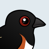 Eastern Towhee