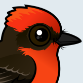 Vermilion Flycatcher