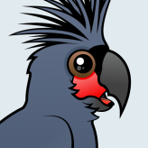 Palm Cockatoo
