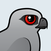 Mississippi Kite