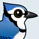 Blue Jay